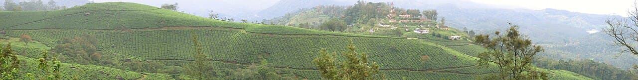 Munnar Tea Trails — Kerala, India